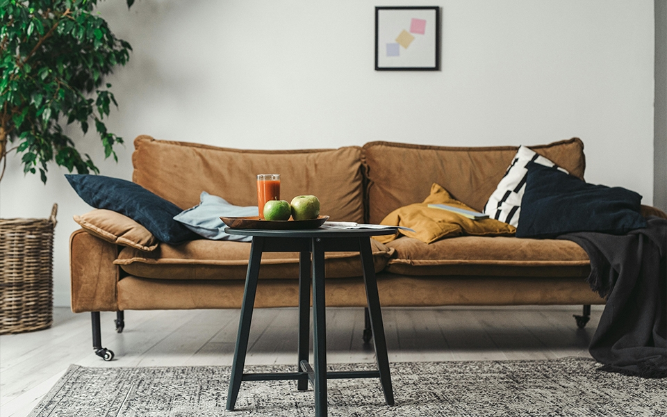 Stue med sofa og plante